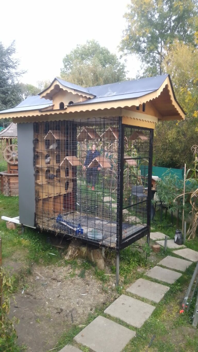 Construction d'une volière
